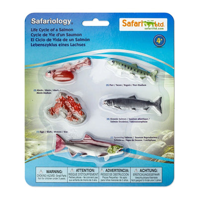 Life Cycle of a Salmon by Safari Ltd - Friends of K