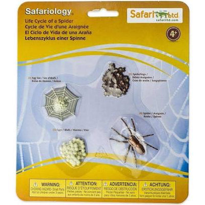 Life Cycle of a Spider by Safari Ltd - Friends of K