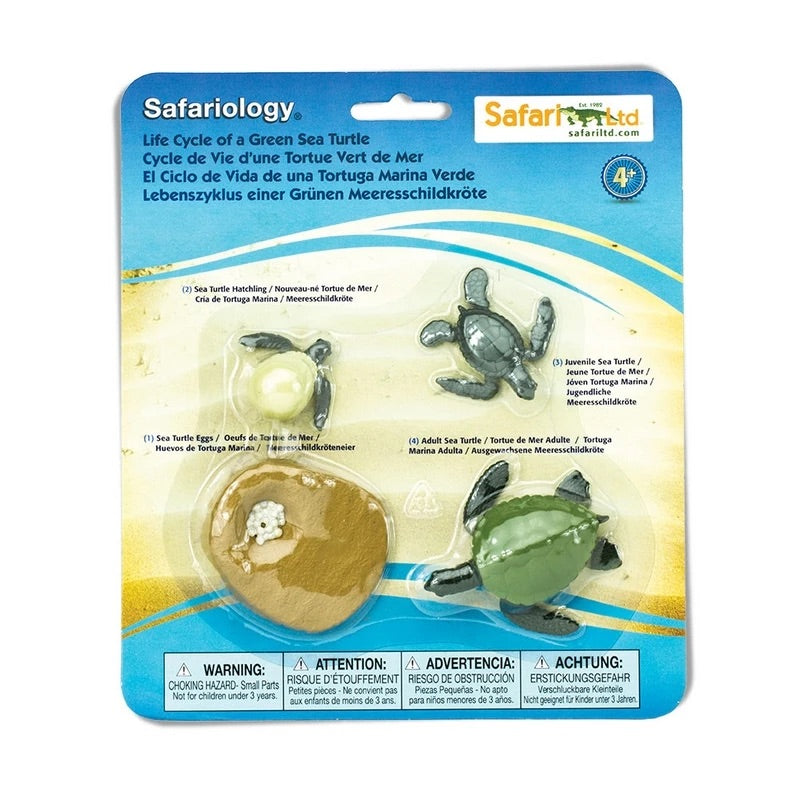 Life Cycle of a Green Sea Turtle by Safari Ltd - Friends of K