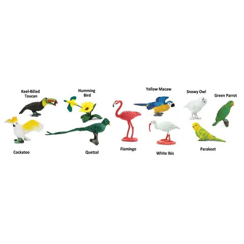 Safari Ltd | Exotic Birds Toob by Safari Ltd Toob - Friends of K