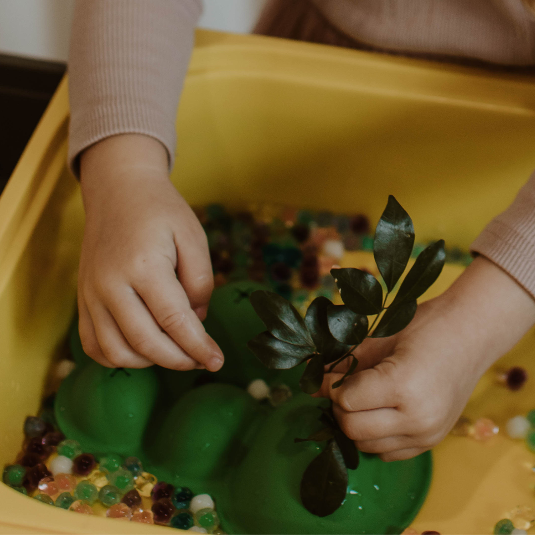 Sensory Scene Setters by Jellystone - Friends of K