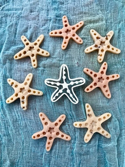 Starfish Bio Cutter by Beadie Bug Play - Friends of K