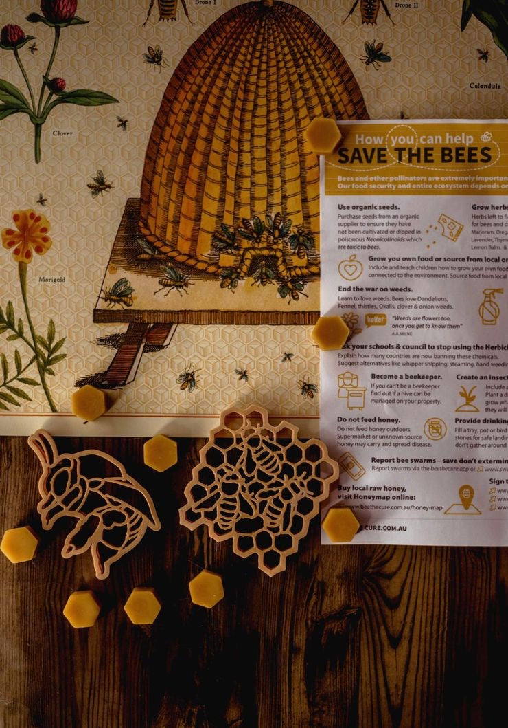 Teddy Bear Bee & Honey Eco Cutter Set by Kinfolk Pantry - Friends of K