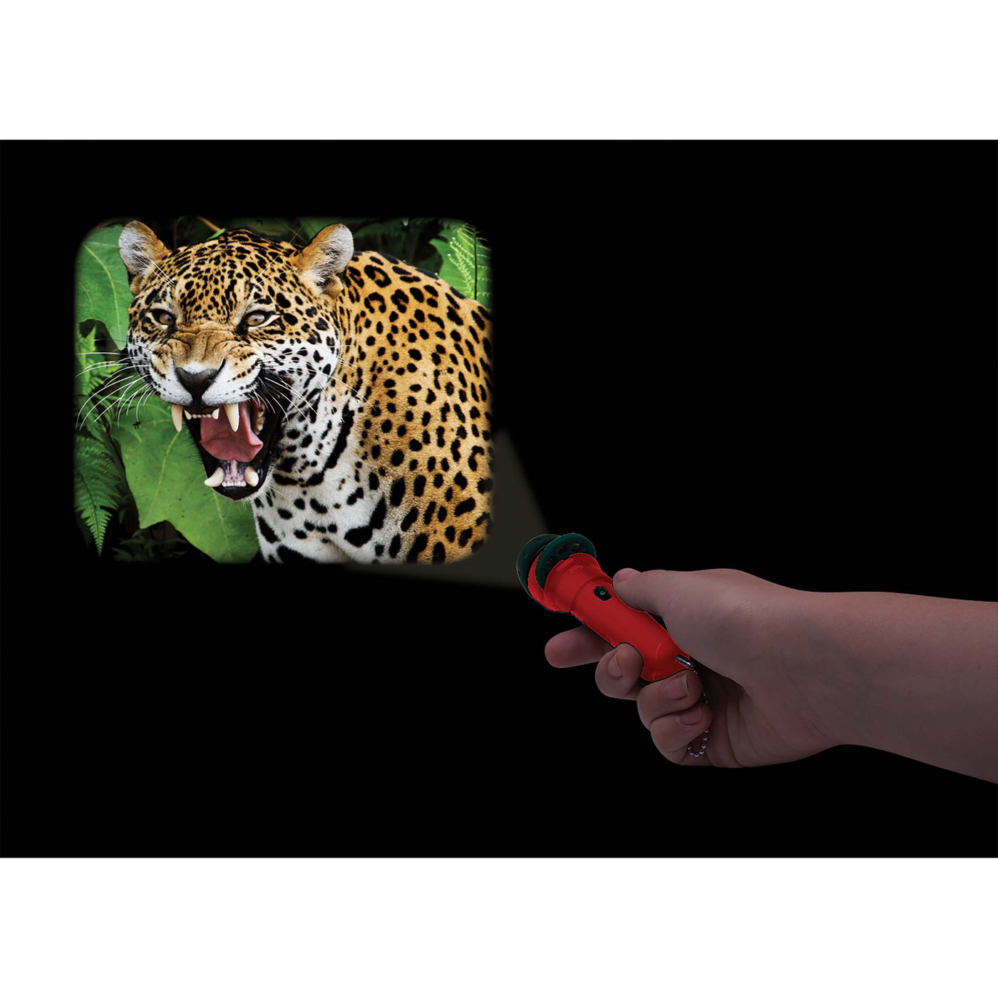 Torch Projector - Wild Things That Bite And Sting by Is Gift - Friends of K