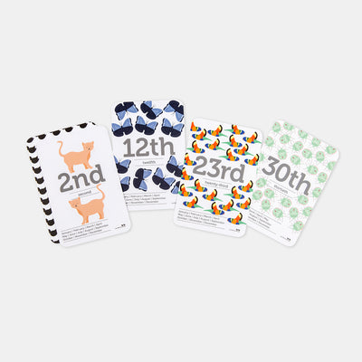 Dates of the Month Flash Cards by Two Little Ducklings - Friends of K