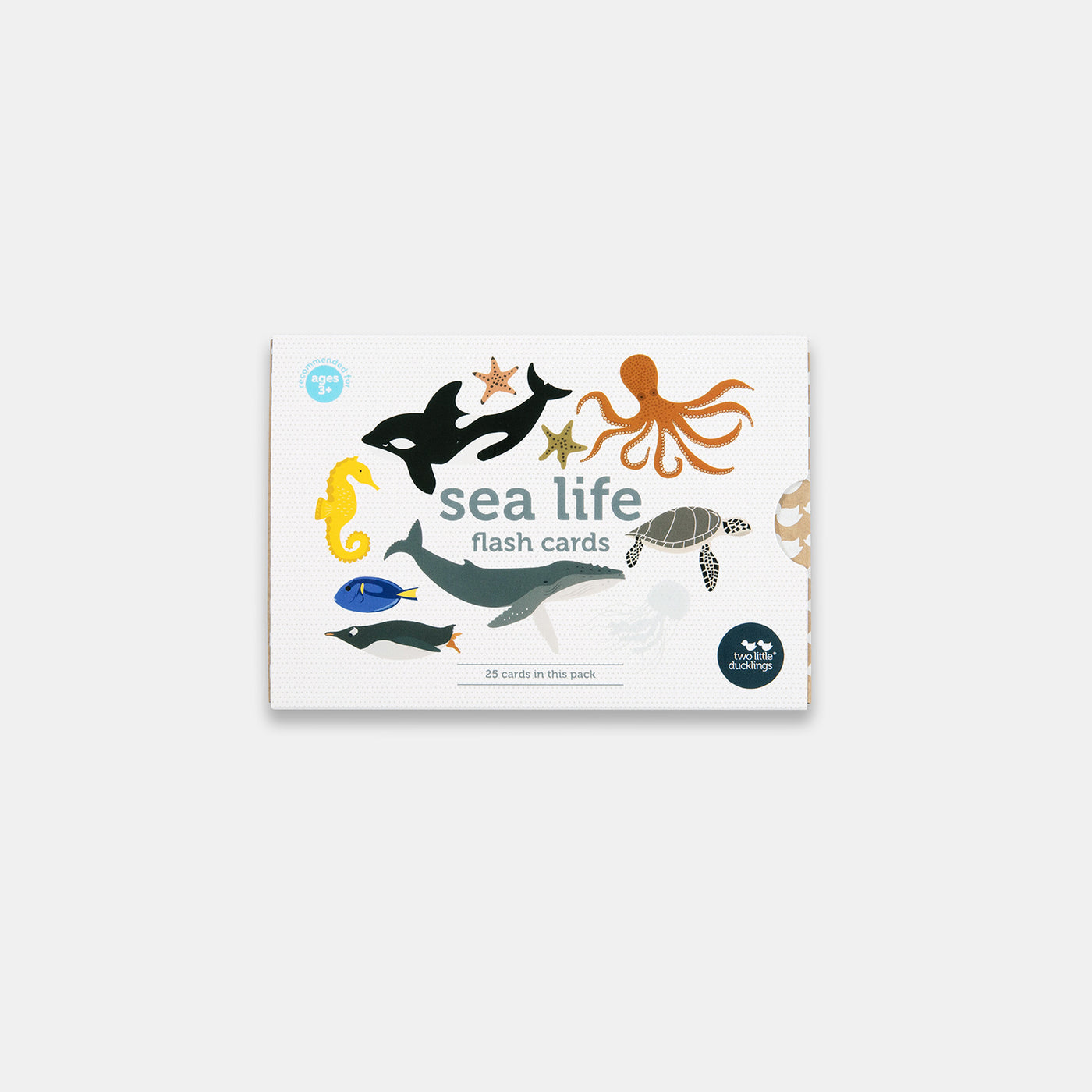 Sea Life Flash Cards by Two Little Ducklings - Friends of K