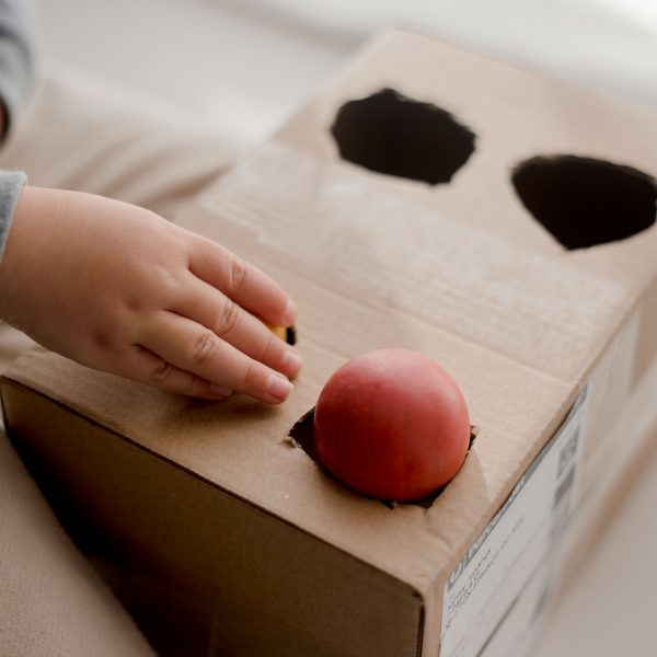 Wooden Balls Set of 6 (48mm) by QTOYS - Friends of K